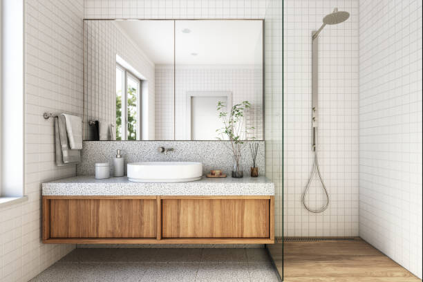 ¿Tipo de regadera para baño contemporáneo?