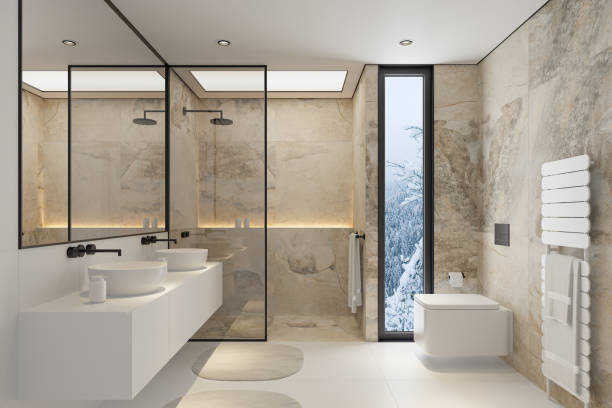 estilo de baño con sanitario blanco